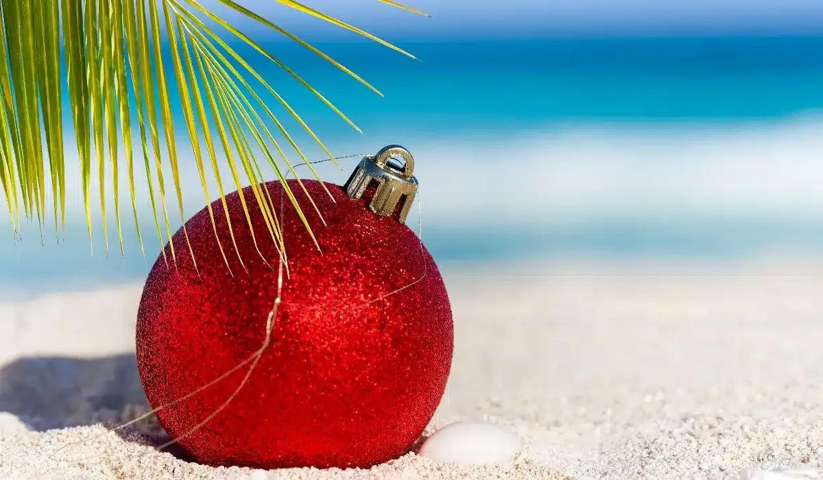 a christmas ball decoration under a palm tree in the caribbean 