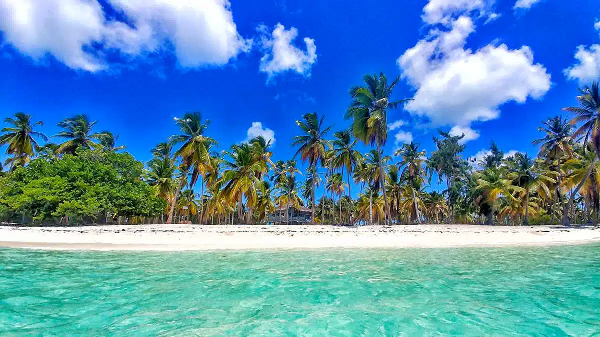 beautiful beach on the dominican republic 