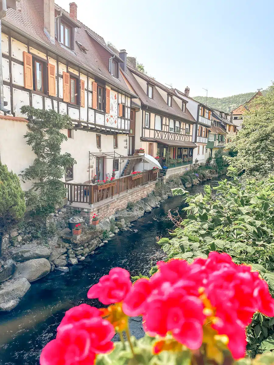 Cute half-timbered houses in Alsace with some red flowers in the foreground