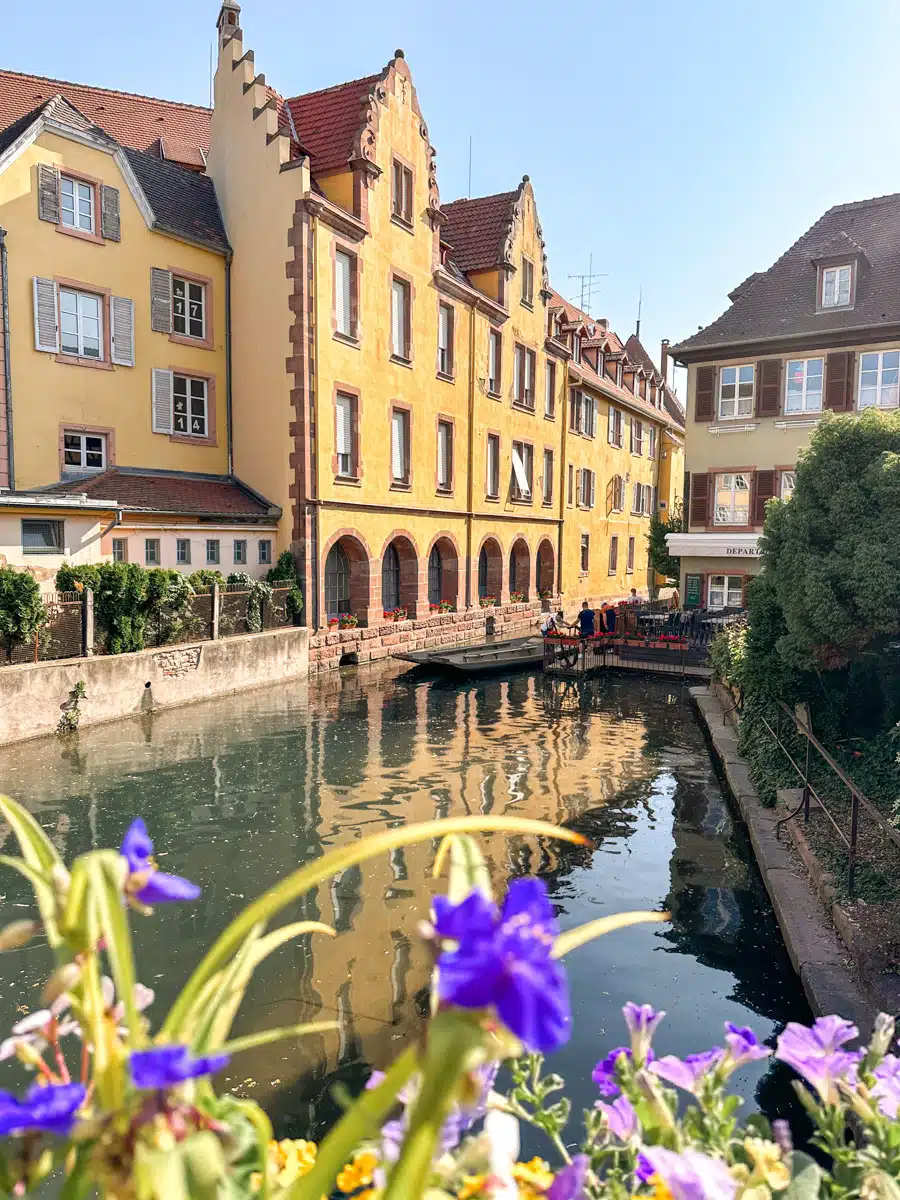 Little Venice area of Alsace with stunning flowers in foreground