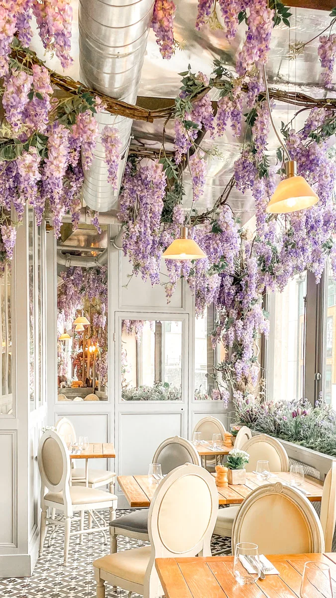 wisteria hanging from a ceiling at a cafe in london 
