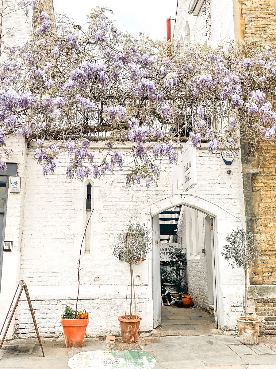 cute cafe with purple wisteria hanging on the outside