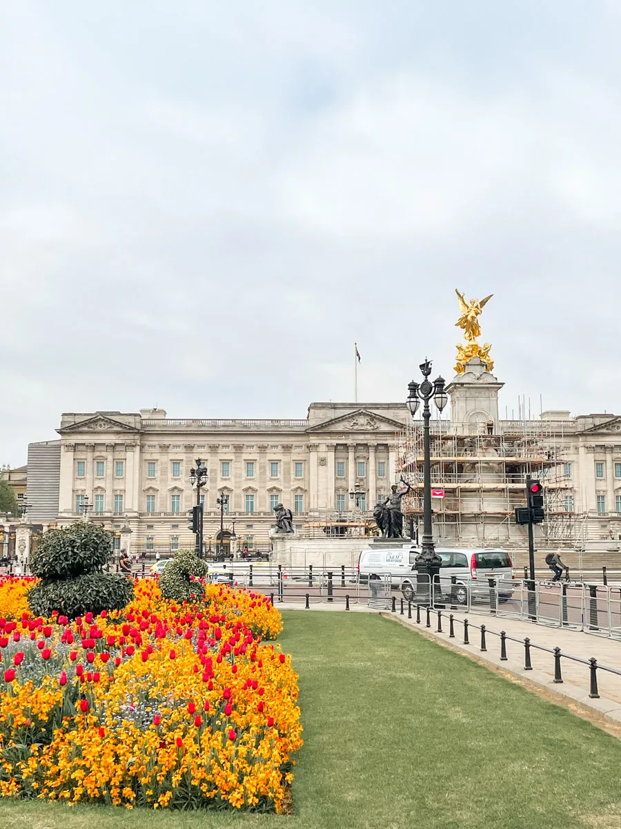 beautiful flower field with orange tulips and the buckingham palace in the background