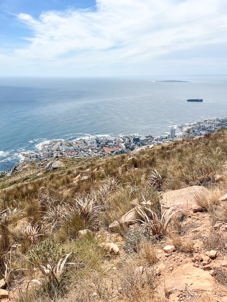 stunning view from the lion's head mountain hike in cape town on every 7 day in cape town itinerary