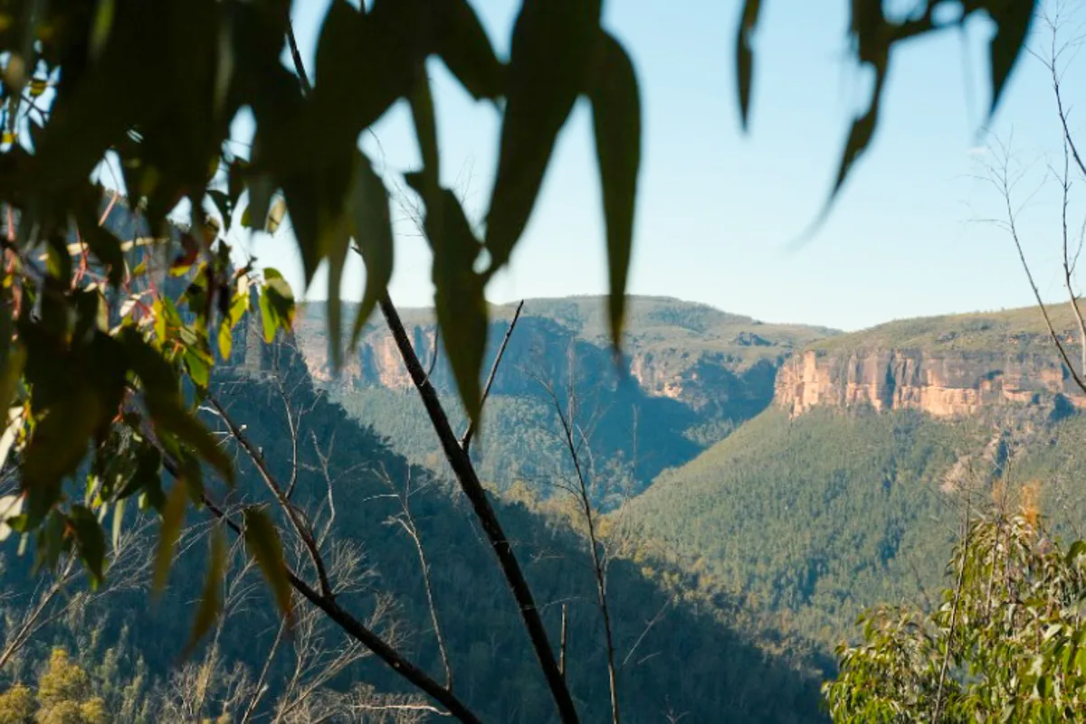 stunning view of the blue mountains national park