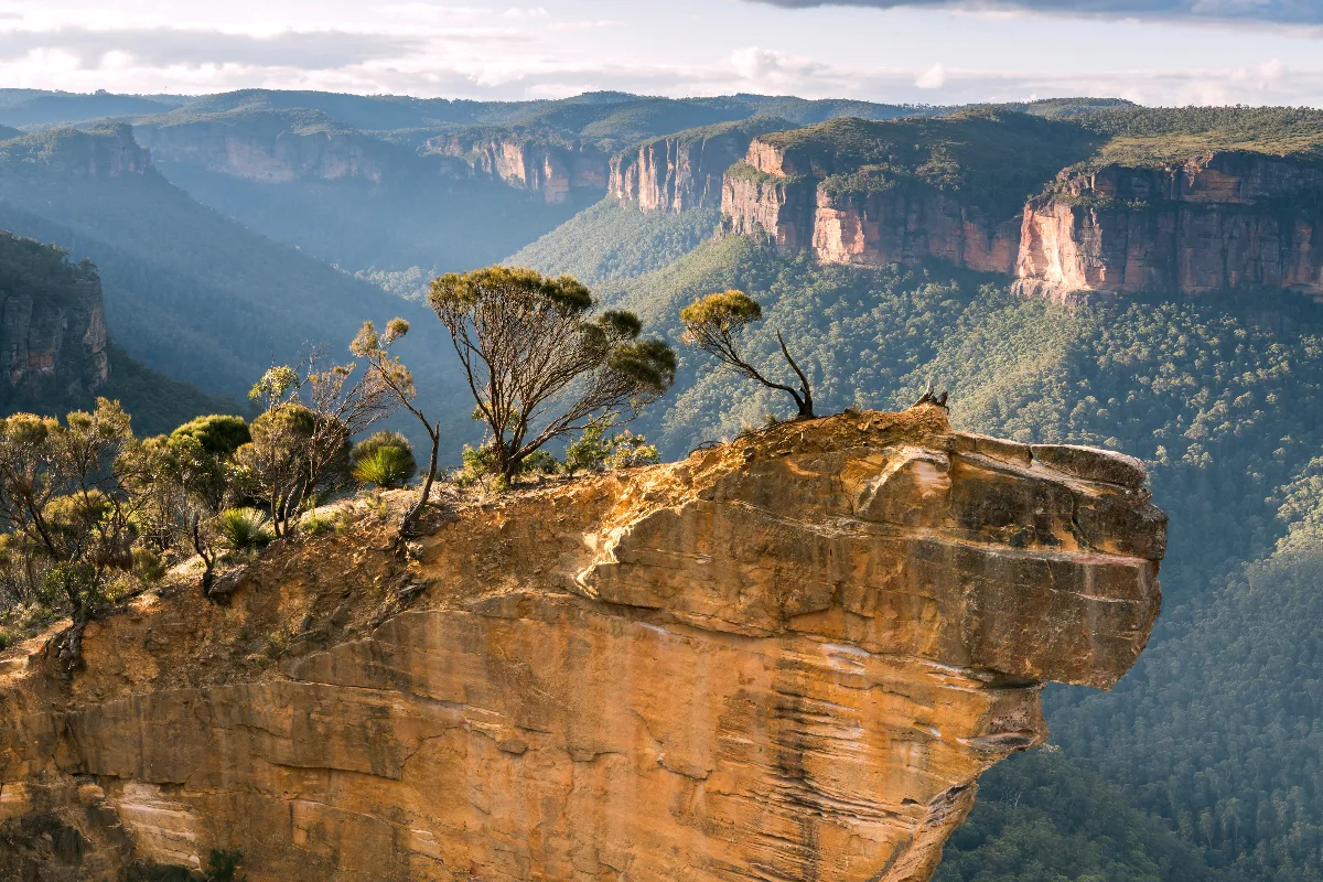 stunning lookout in the blue mountains national park over rock formations and rainforest