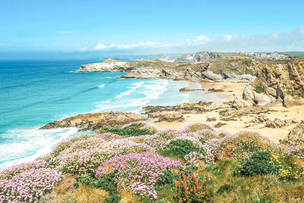 beautiful beach in the uk with stunning clear blue water and colorful flowers in front