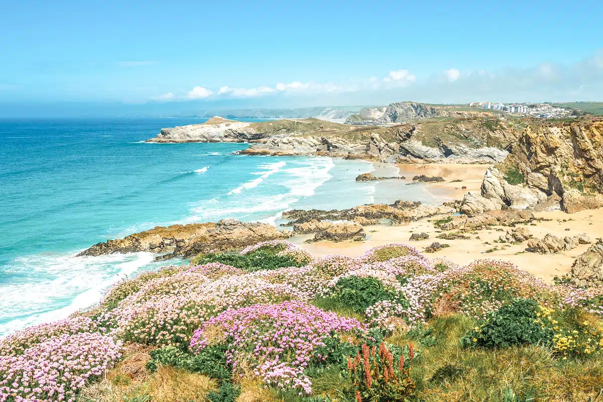 beautiful beach in the uk with stunning clear blue water and colorful flowers in front