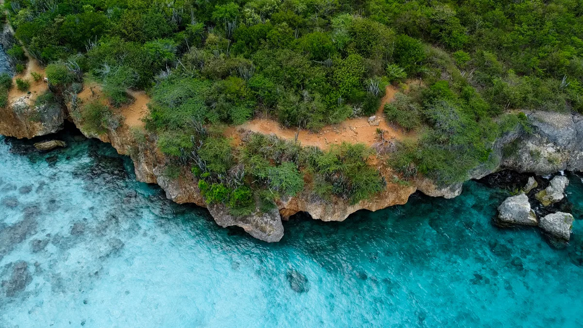 "Overhead view of a rocky coastline with lush green vegetation, overlooking the clear turquoise waters of the Caribbean Sea."