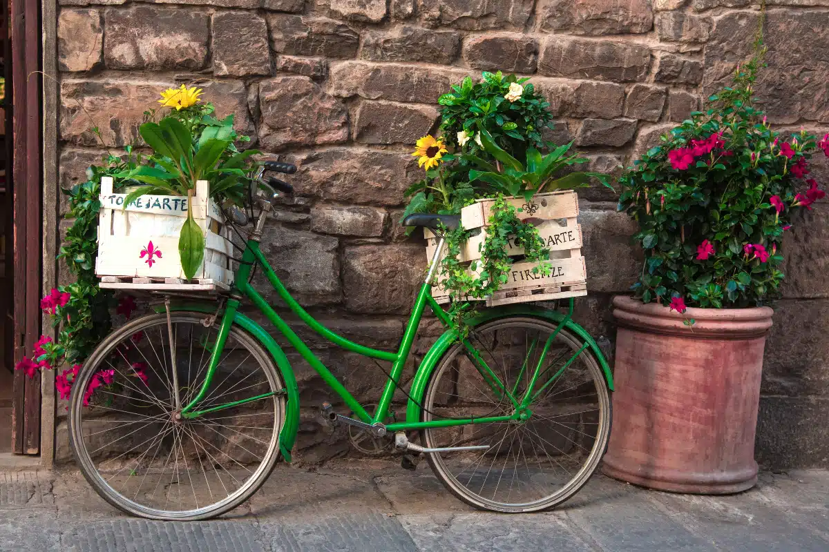 cute green little bike with colorful flowers 