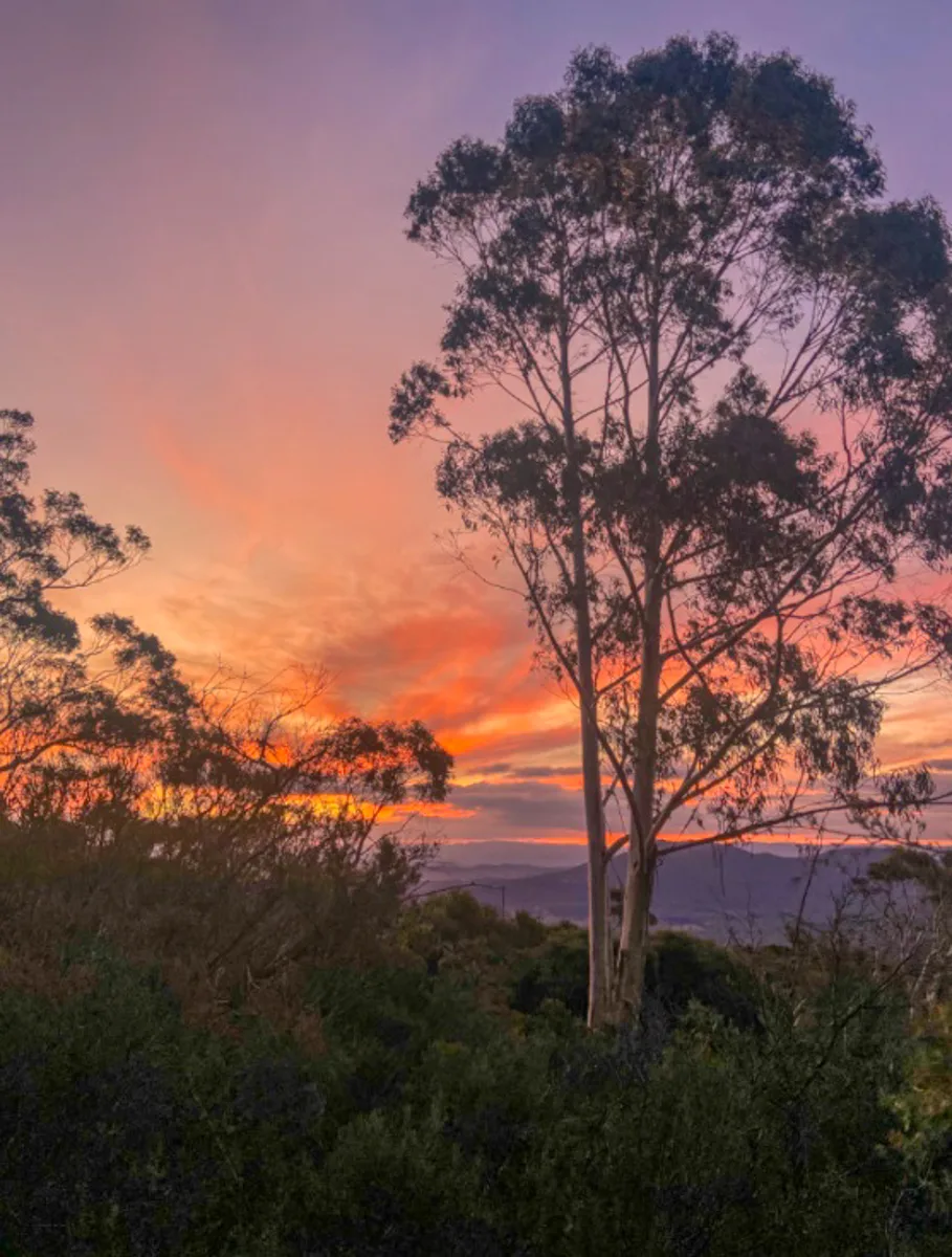 amazing sunset from mount blackheath in australia