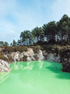 amazing hot springs in the wai o tapu thermal park in new zealand