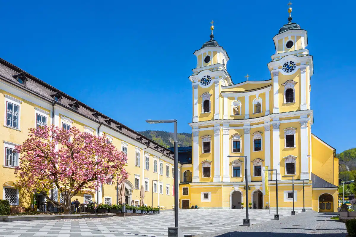 beautiful salzburger dom in spring with a cherry tree in front