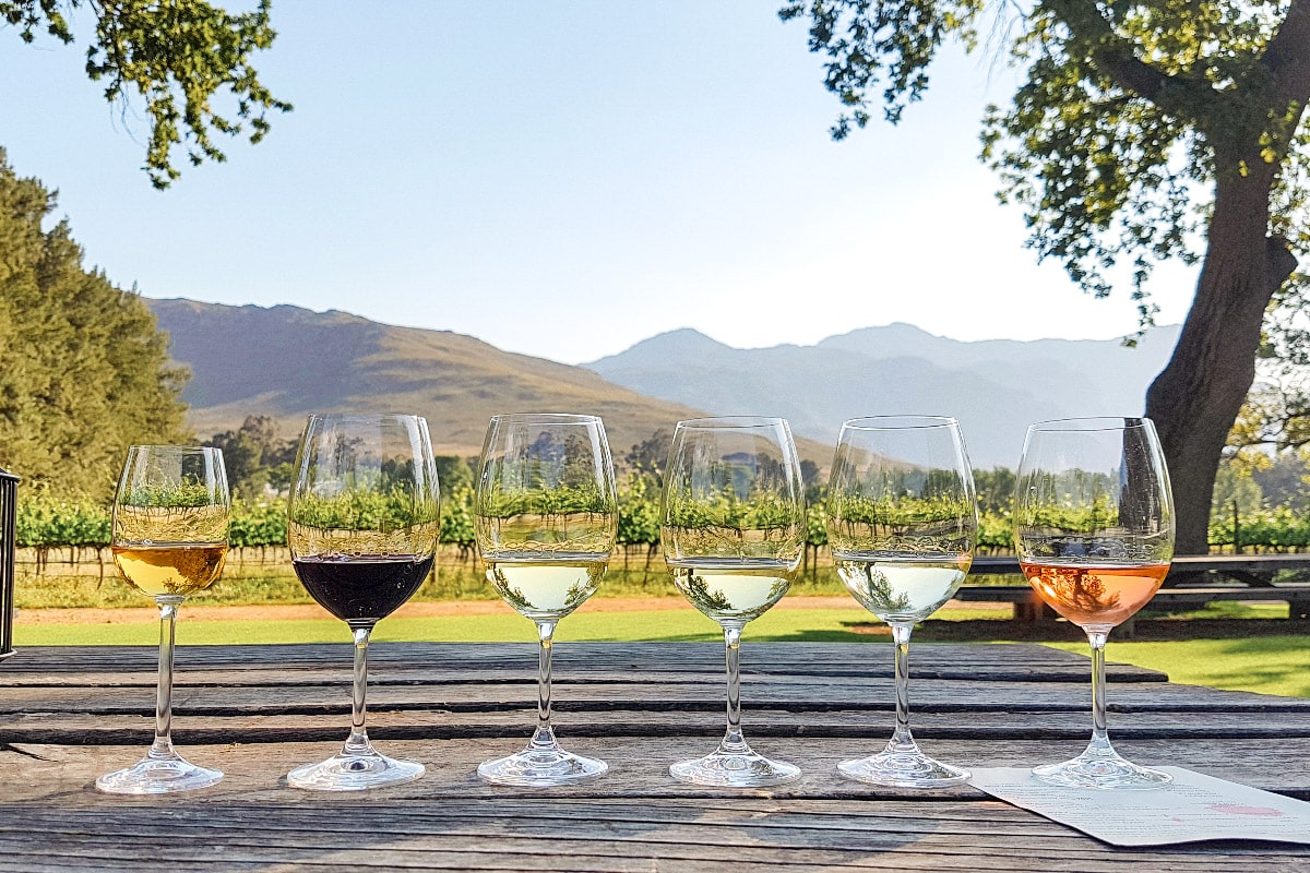 wine tasting arrangement in cape town as part of a 7 days in cape town itinerary