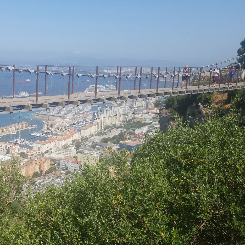 amazing suspension bridge hanging over lots of trees with a view of the city and the cruise port in the background