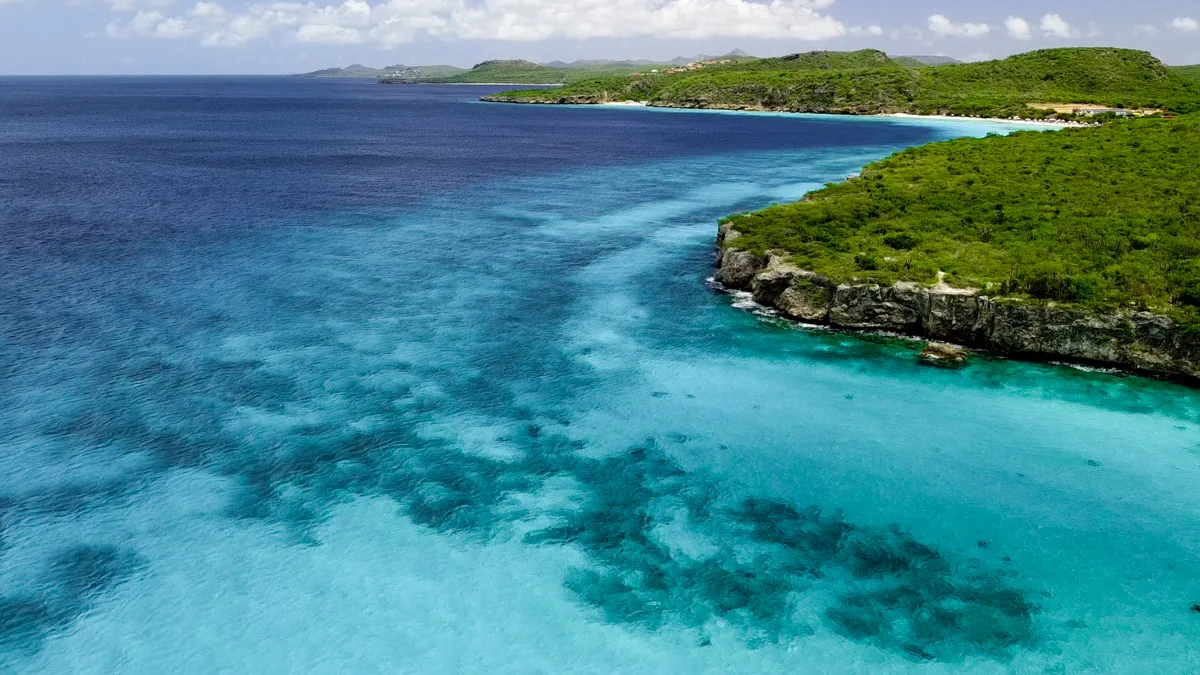 "Aerial shot of a curved coastline with vibrant blue waters and patches of coral reefs visible beneath the surface, surrounded by greenery and a clear sky."