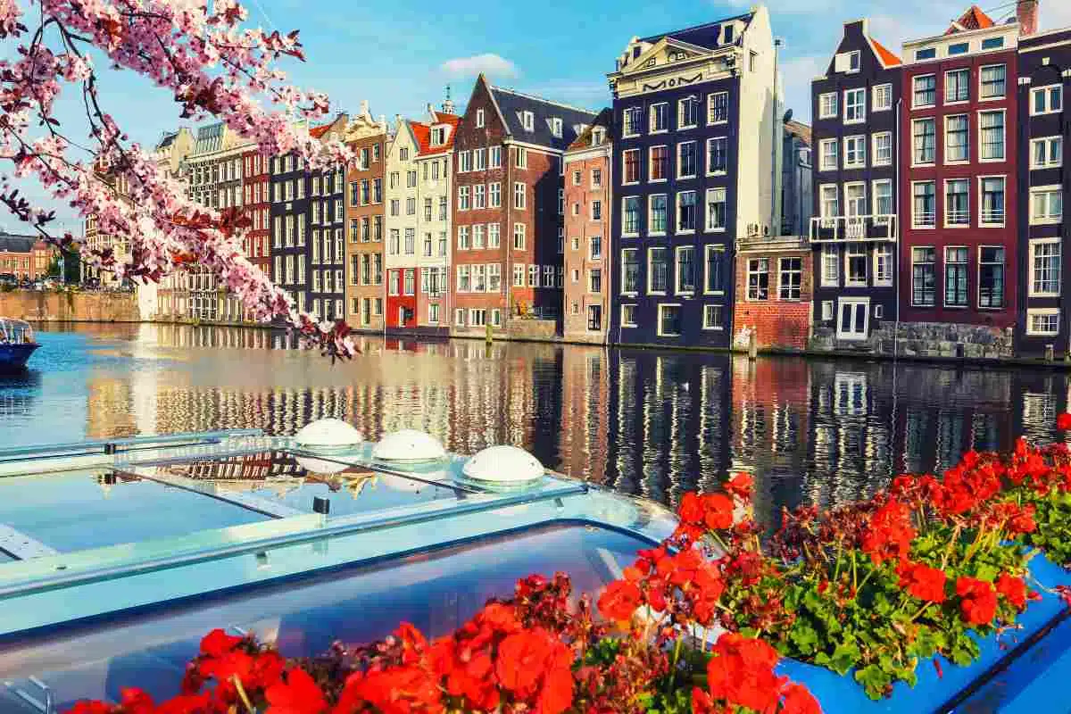 damrak promenade in amsterdam with stunning houses in the background and some flowers to light up the image