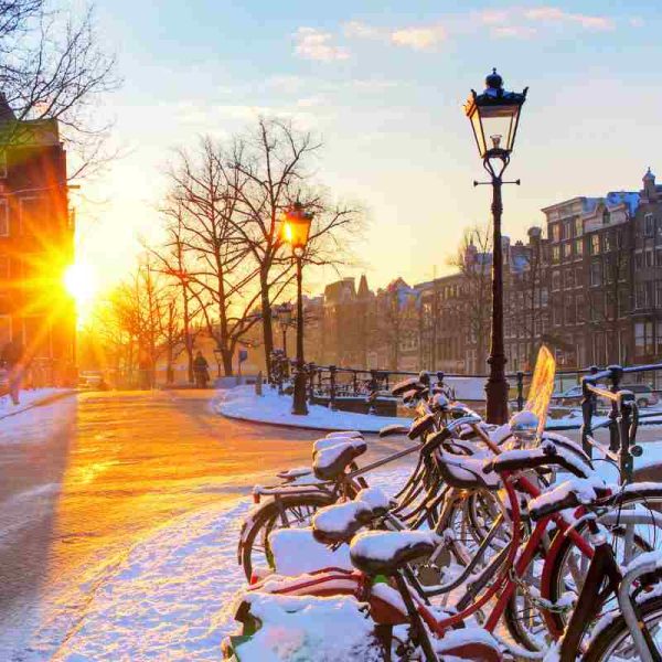 Is Amsterdam Worth Visiting? An Honest Review!