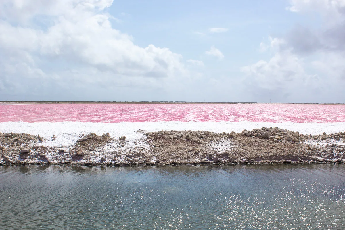 A unique view of a salt pan in Bonaire, where the water appears vivid pink against the white salt deposits, under a sky with wispy clouds.