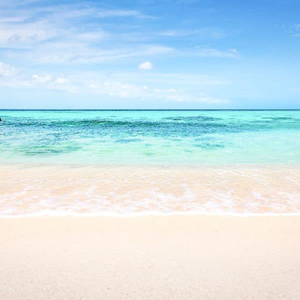 Best Things to Do in Bonaire on a Cruise – One Day Itinerary
