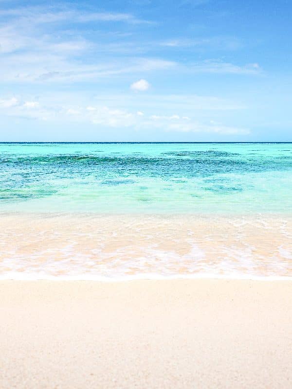 Best Things to Do in Bonaire on a Cruise – One Day Itinerary