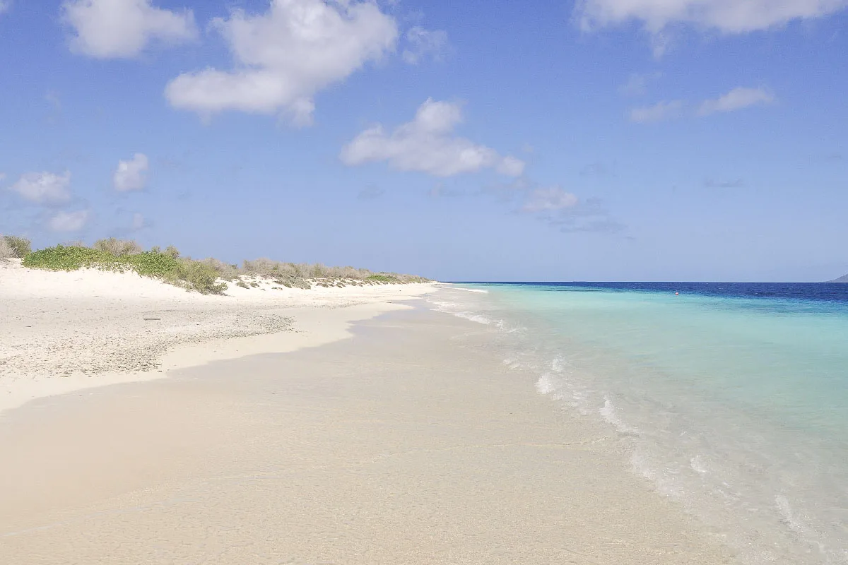 A tranquil deserted beach with white sands, clear turquoise waters, and a sparse landscape with green shrubs under a bright blue sky.