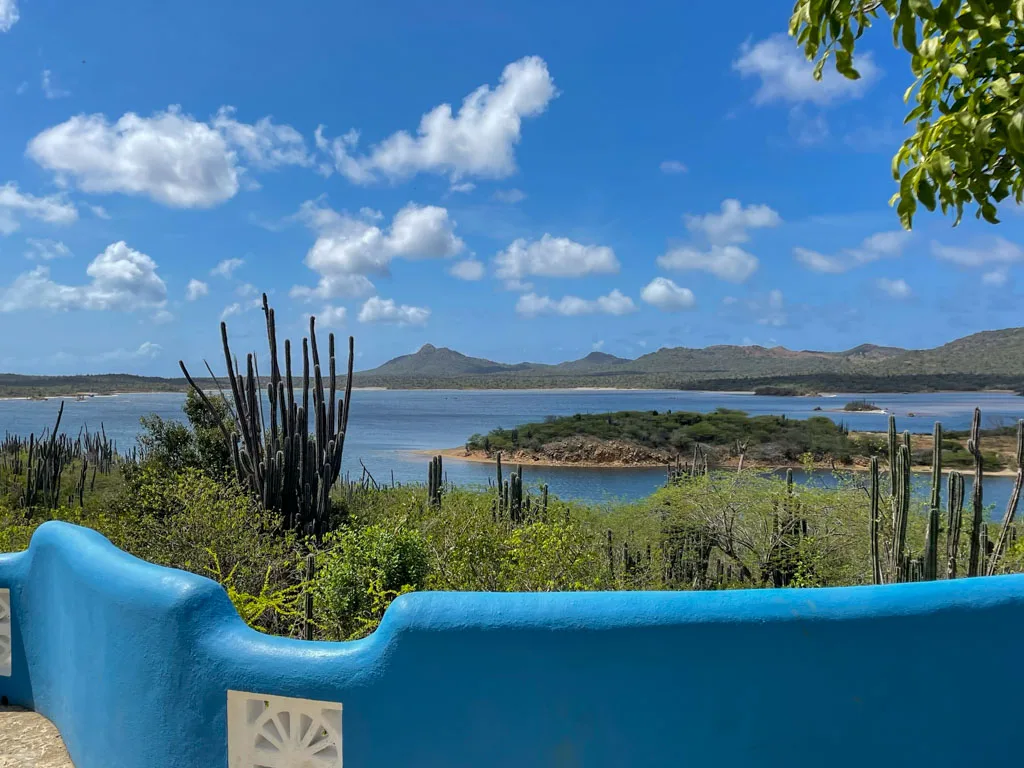 A picturesque view from a high vantage point showcasing a blue railing, cacti, and shrubs, overlooking a serene lake surrounded by rolling hills under a partly cloudy sky. Stunning Nature of bonaire that you can visit in one day from cruise port