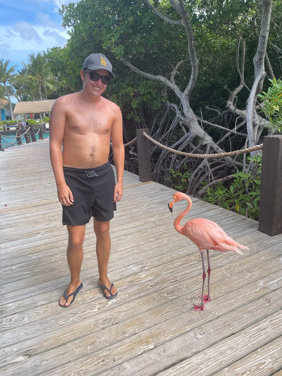 the authors husband standing next to a flamingo in aruba