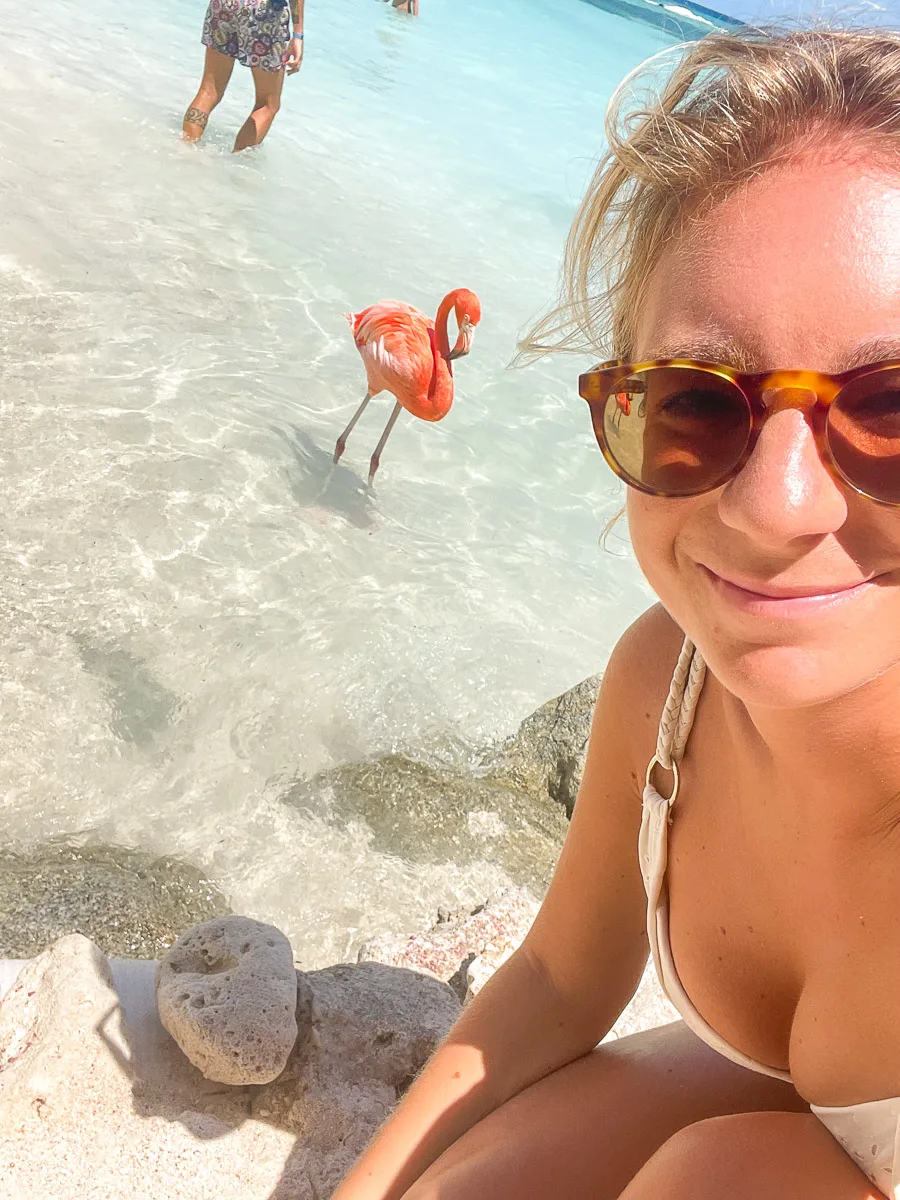 the author taking a selfie with a pink flamingo swimming in the ocean in aruba