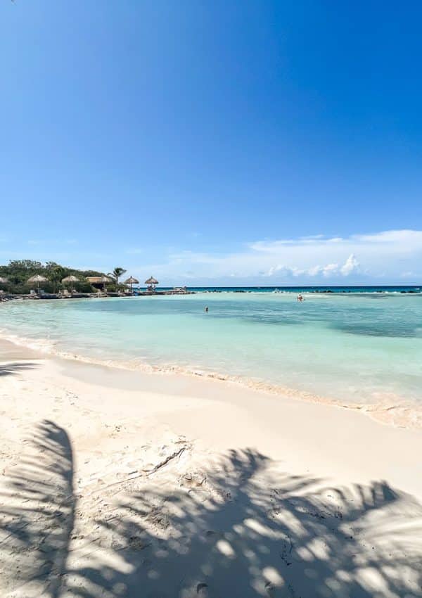 How to Get to Flamingo Beach Aruba & Is it Worth It?