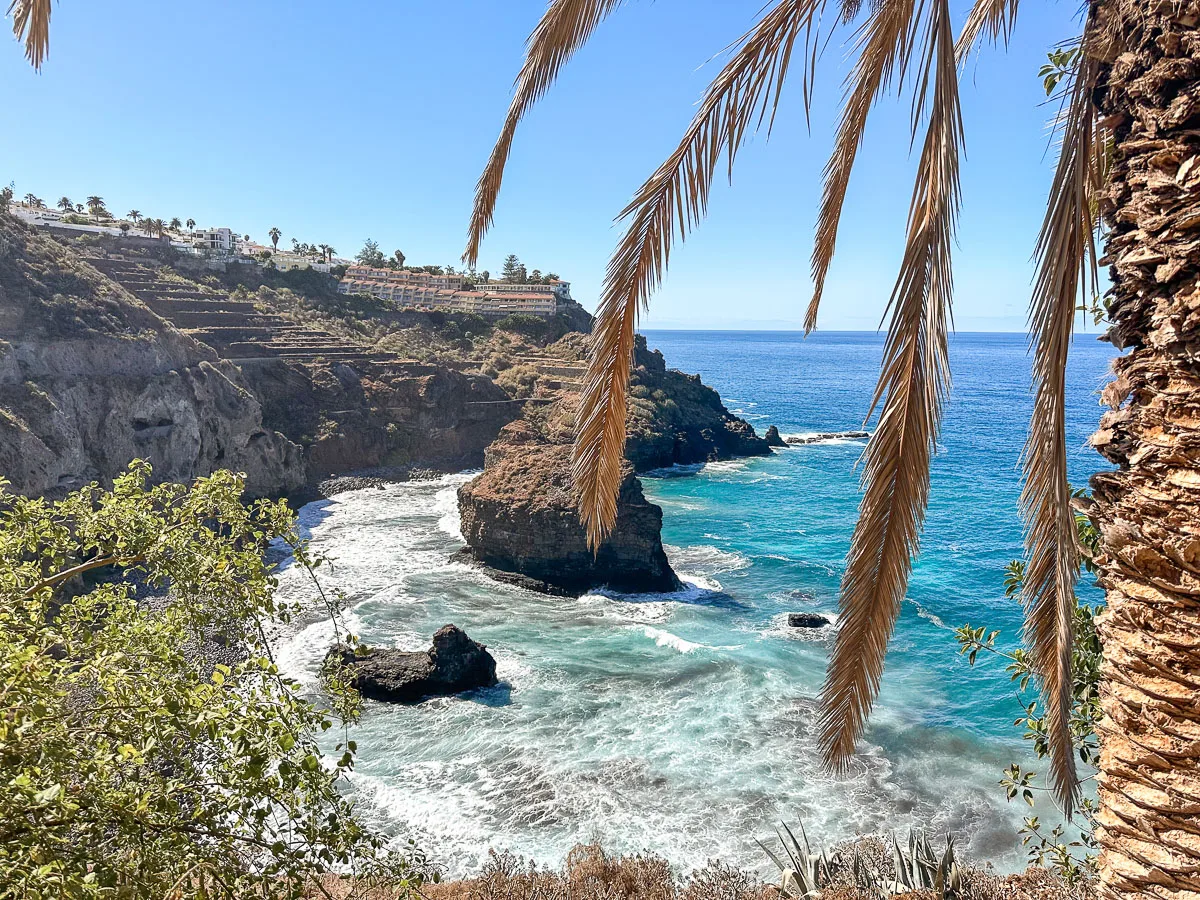 A scenic view between two palm fronds, overlooking a secluded cove with turquoise waters and rock formations in Tenerife, the sunlight illuminates the scene, highlighting the natural beauty and tranquility of the island's hidden gems.