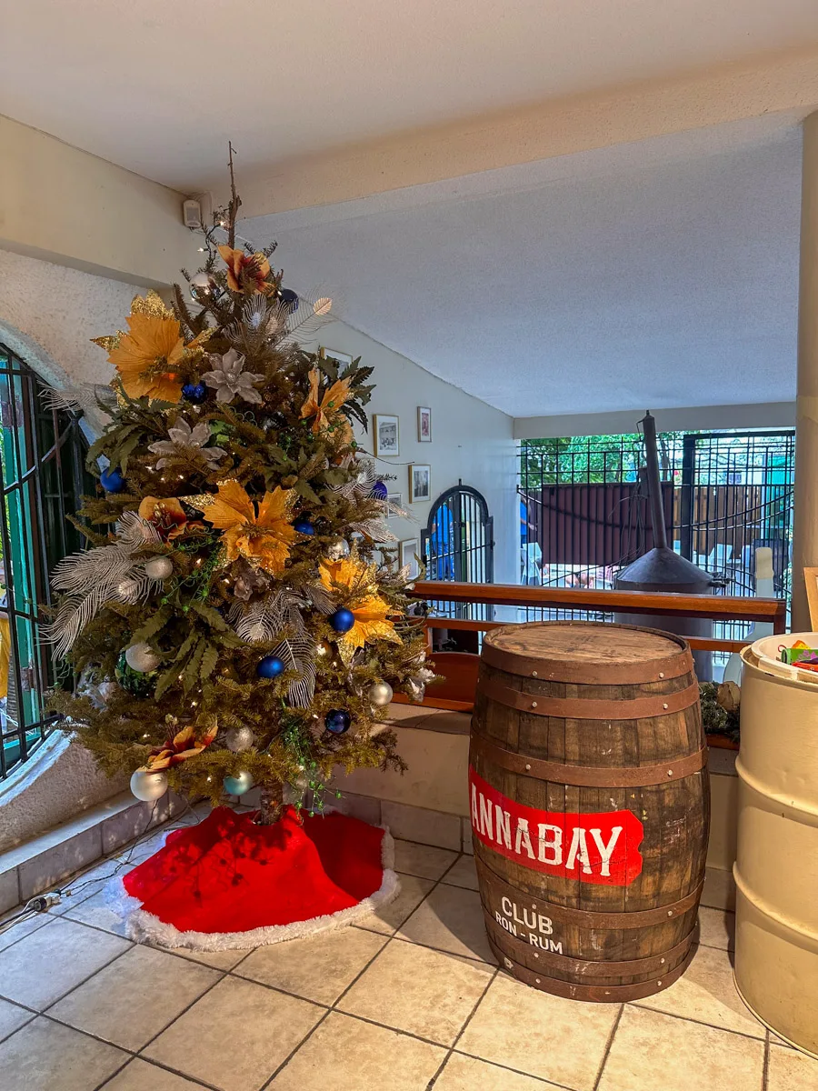 A Christmas tree decorated with golden and blue ornaments stands beside a rustic rum barrel in a home setting, showcasing how Curaçao blends tropical celebration with traditional holiday decor