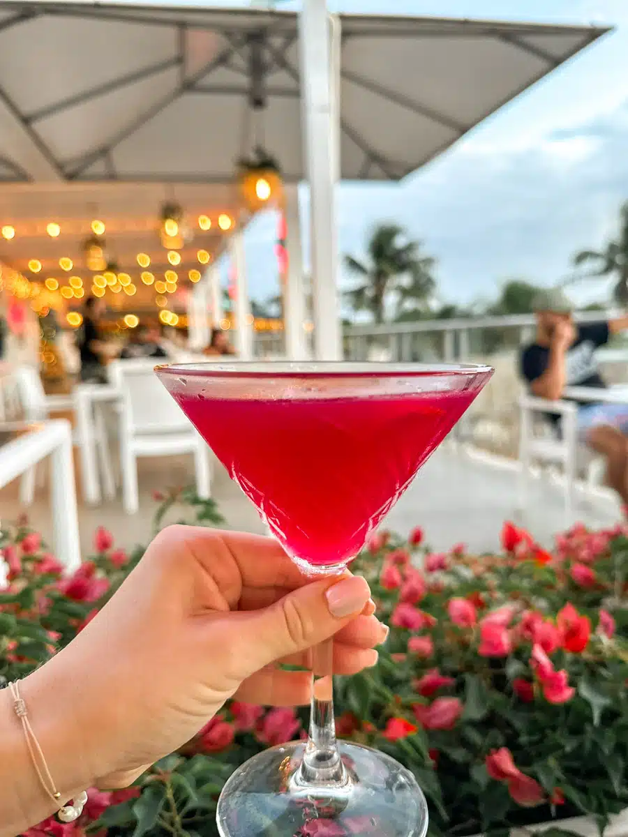delicious and pink cocktail at suviche restaurant in curacao