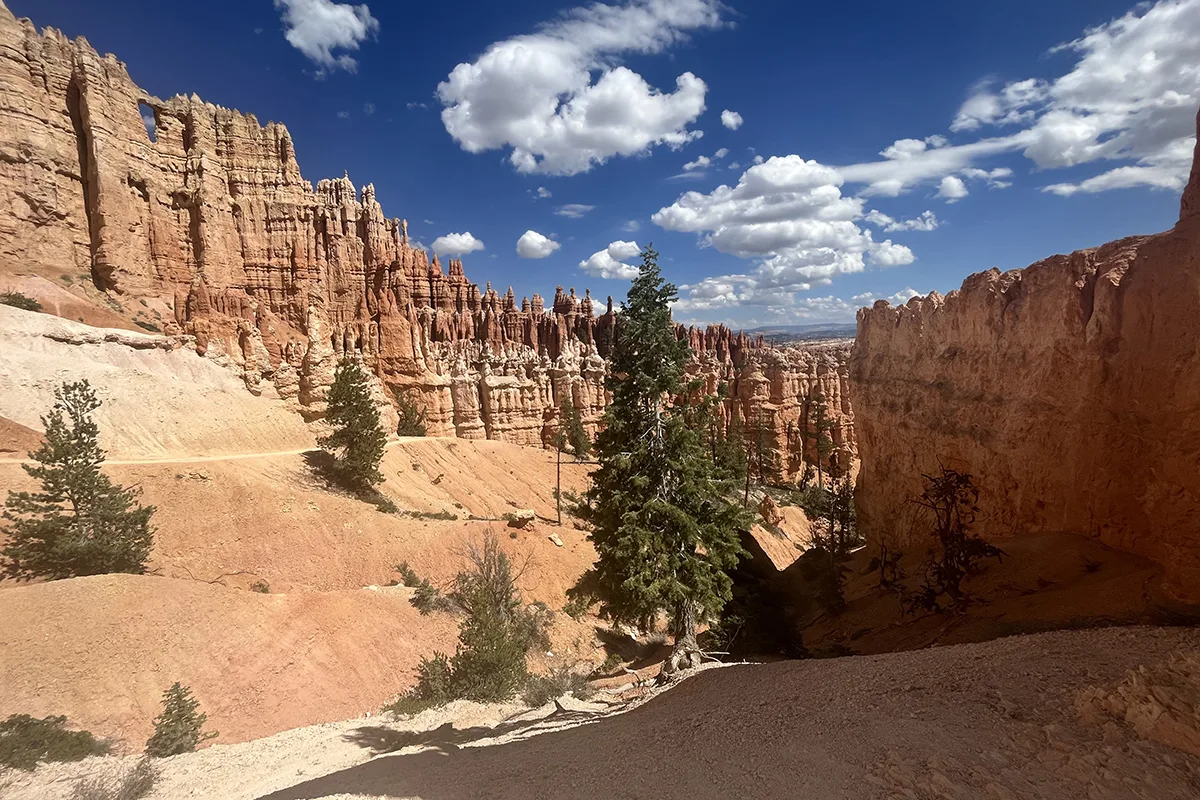 amazing picture of north american bucket list item bryce canyon with orange stones on both sides