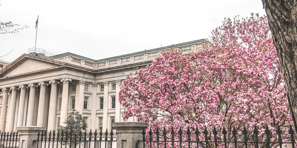 washington dc in spring