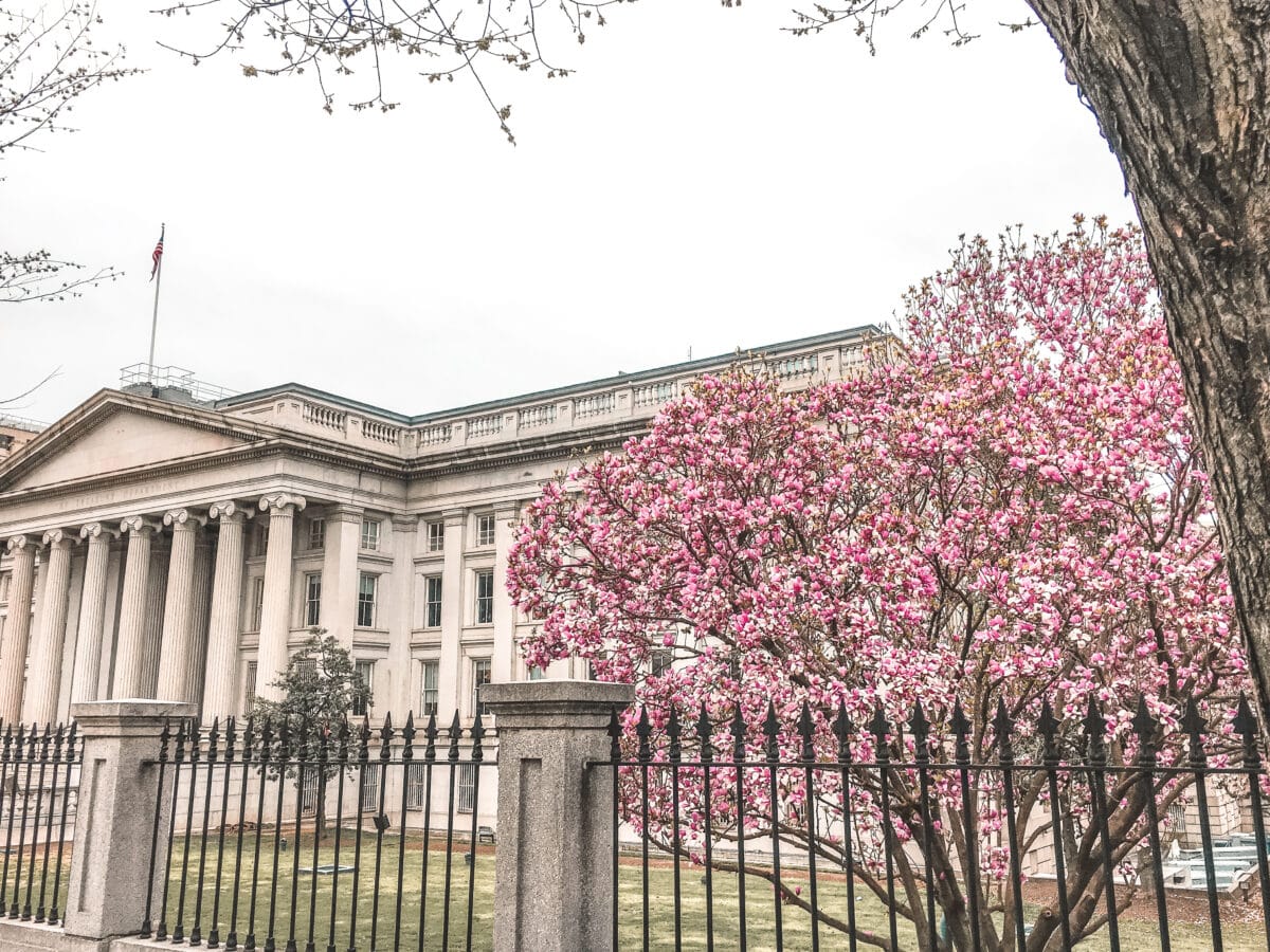 washington dc in spring
