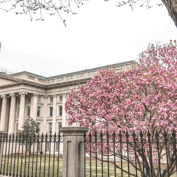 washington dc in spring