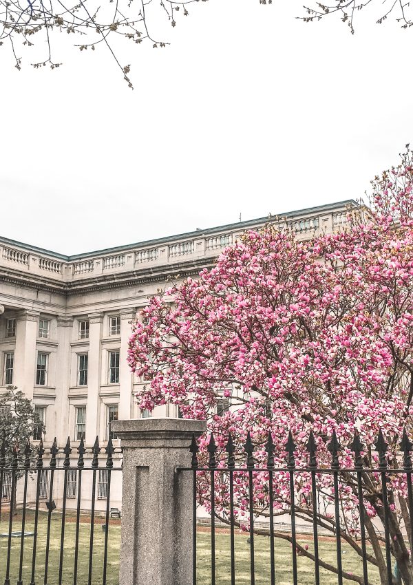 How To Spend 5 Days in Washington, DC in Spring