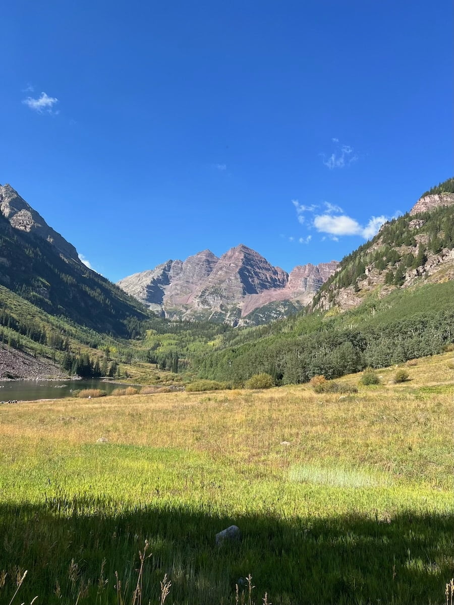 A serene hiking trail in Aspen with lush greenery, flanked by tall trees under a clear blue sky.