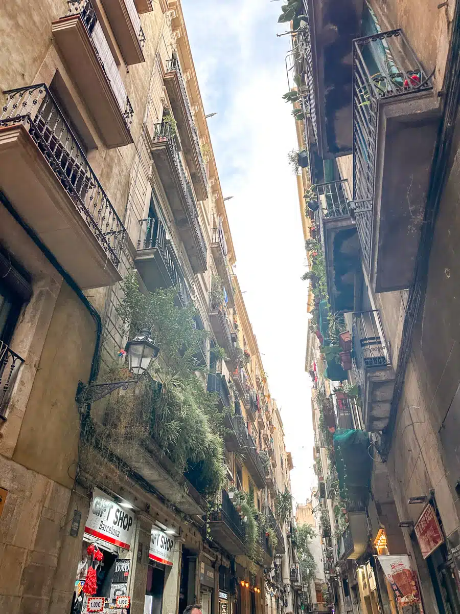 A quaint alleyway in Barcelona's historic district, adorned with balconies overflowing with plants, and local shops inviting passersby to explore
