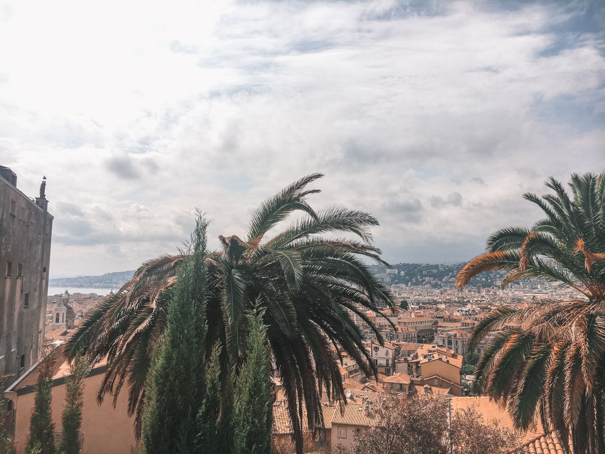 stunning palm trees and view over french city are proof that cannes is worth visiting