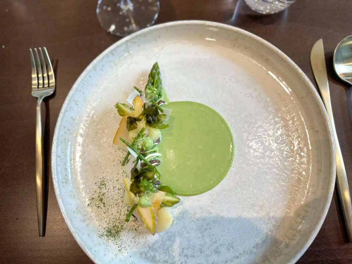 delicious french fine dining dish of asparagus with fish and green sauce