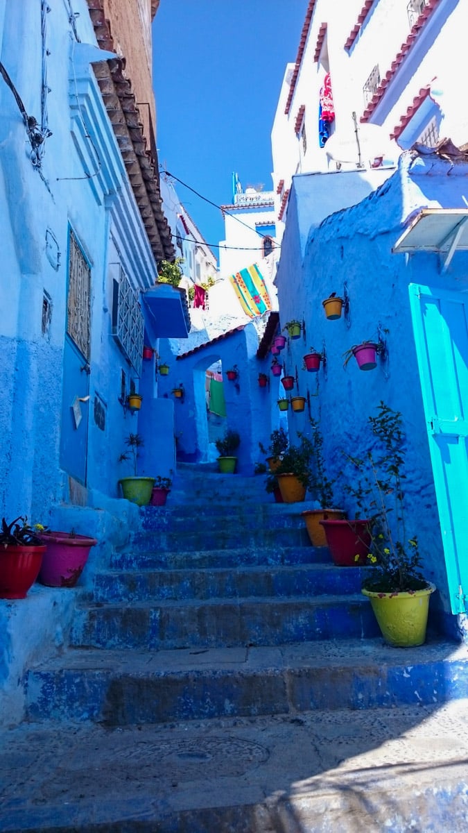 Bright blue stairway adorned with colorful potted plants leading through the charming streets of Chefchaouen, inviting a peaceful walk through this picturesque Moroccan town