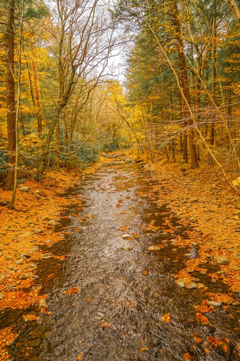 Cold In The Fall 20 Best Places For a Cozy Cabin Getaway in Fall/Winter in the US ...