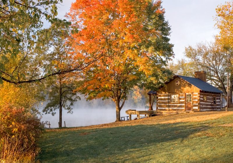 cozy cabin on a lake