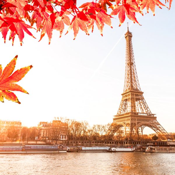 one day in paris eiffel tower picture