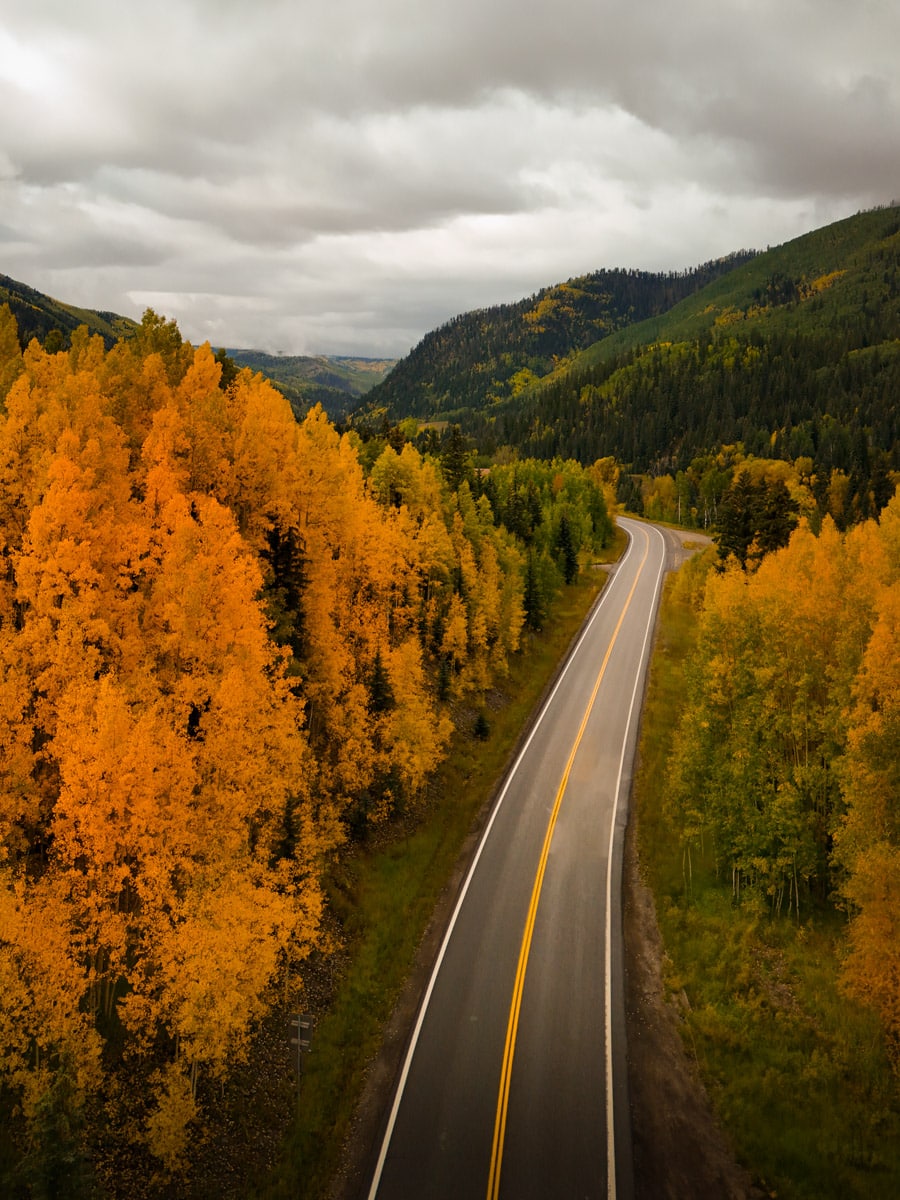 Aerial view of a highway cutting through dense autumn-colored forests under overcast skies in Telluride, reflecting a serene and secluded atmosphere.