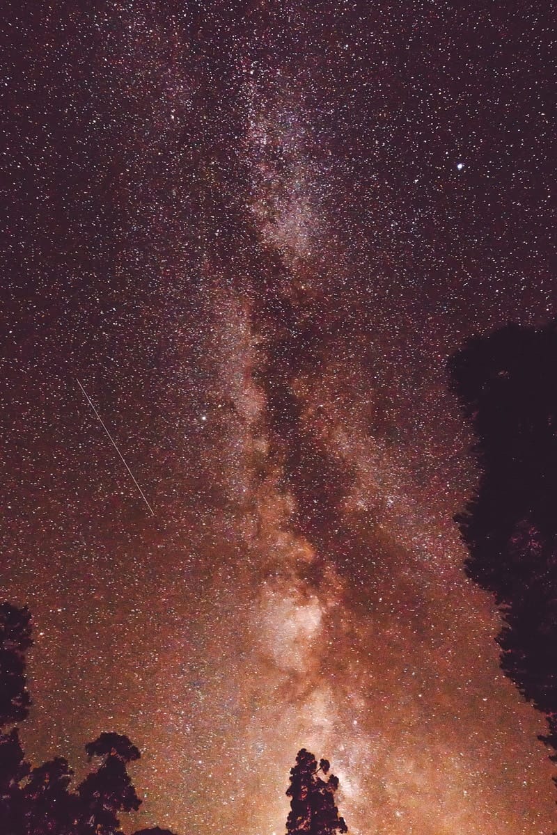 The Milky Way sparkling brightly in the night sky above the silhouettes of trees in Sedona, Arizona.