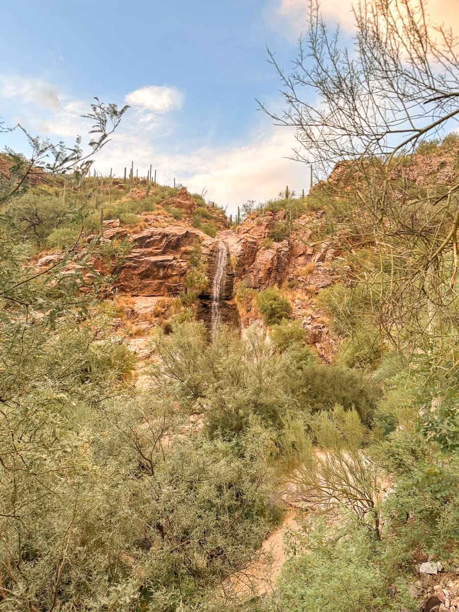 A small desert waterfall cascading down rocky terrain surrounded by lush green bushes and towering saguaro cacti under a cloudy sky. a place you should definitely visit in tucson
