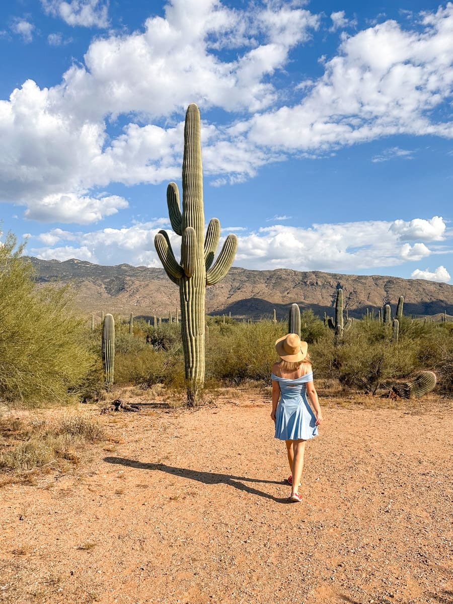 A woman in a blue summer dress and straw hat walking away on a dirt path in a desert landscape, surrounded by tall saguaro cacti and mountainous backdrop